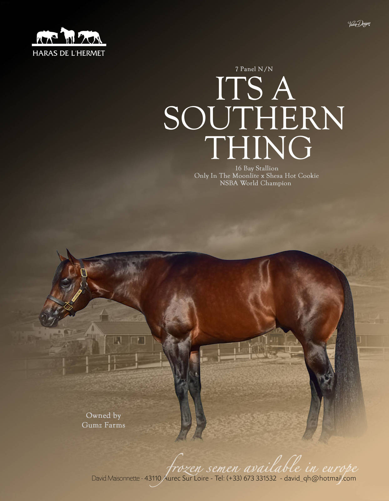 ITS A SOUTHERN THING