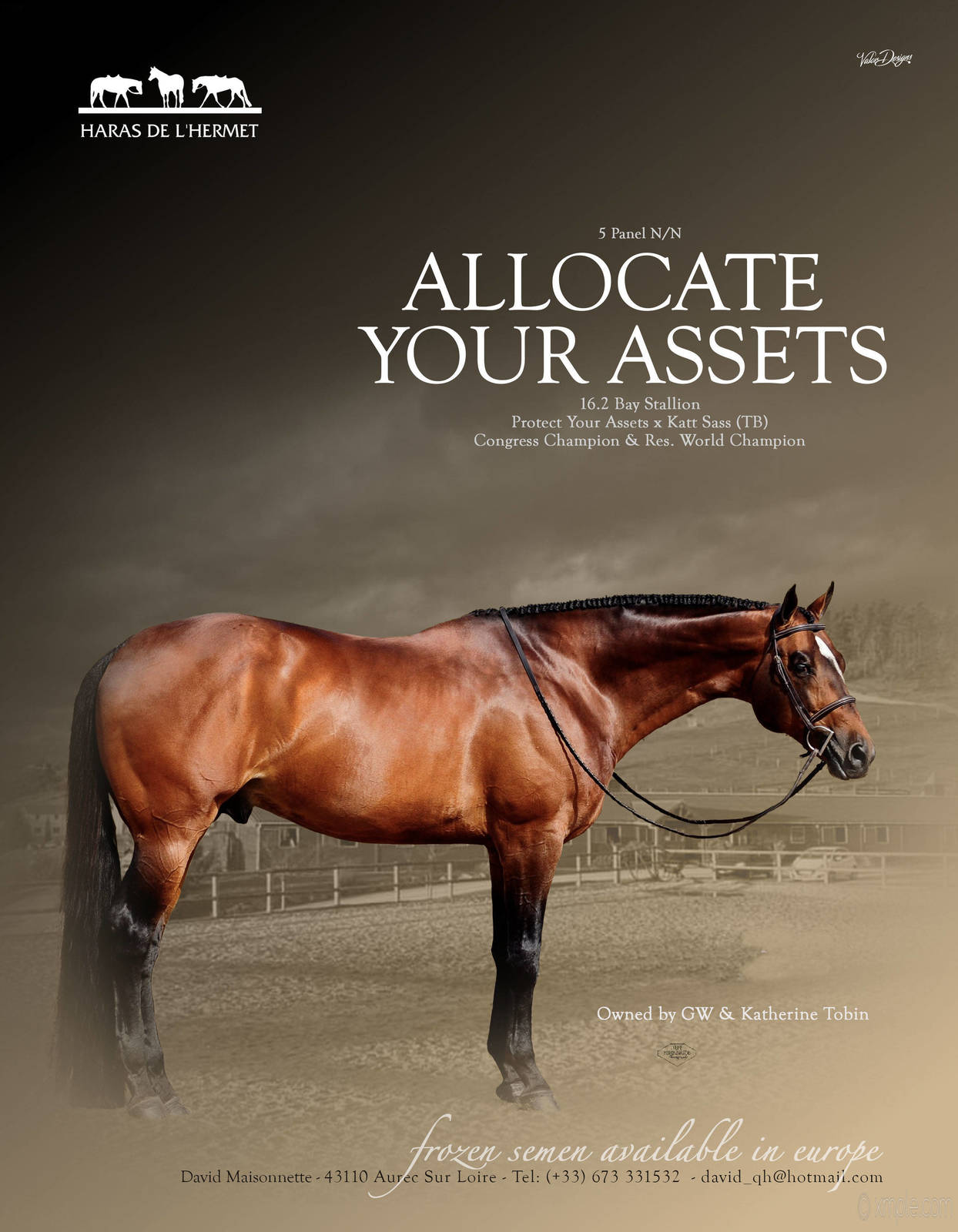 ALLOCATE YOUR ASSETS