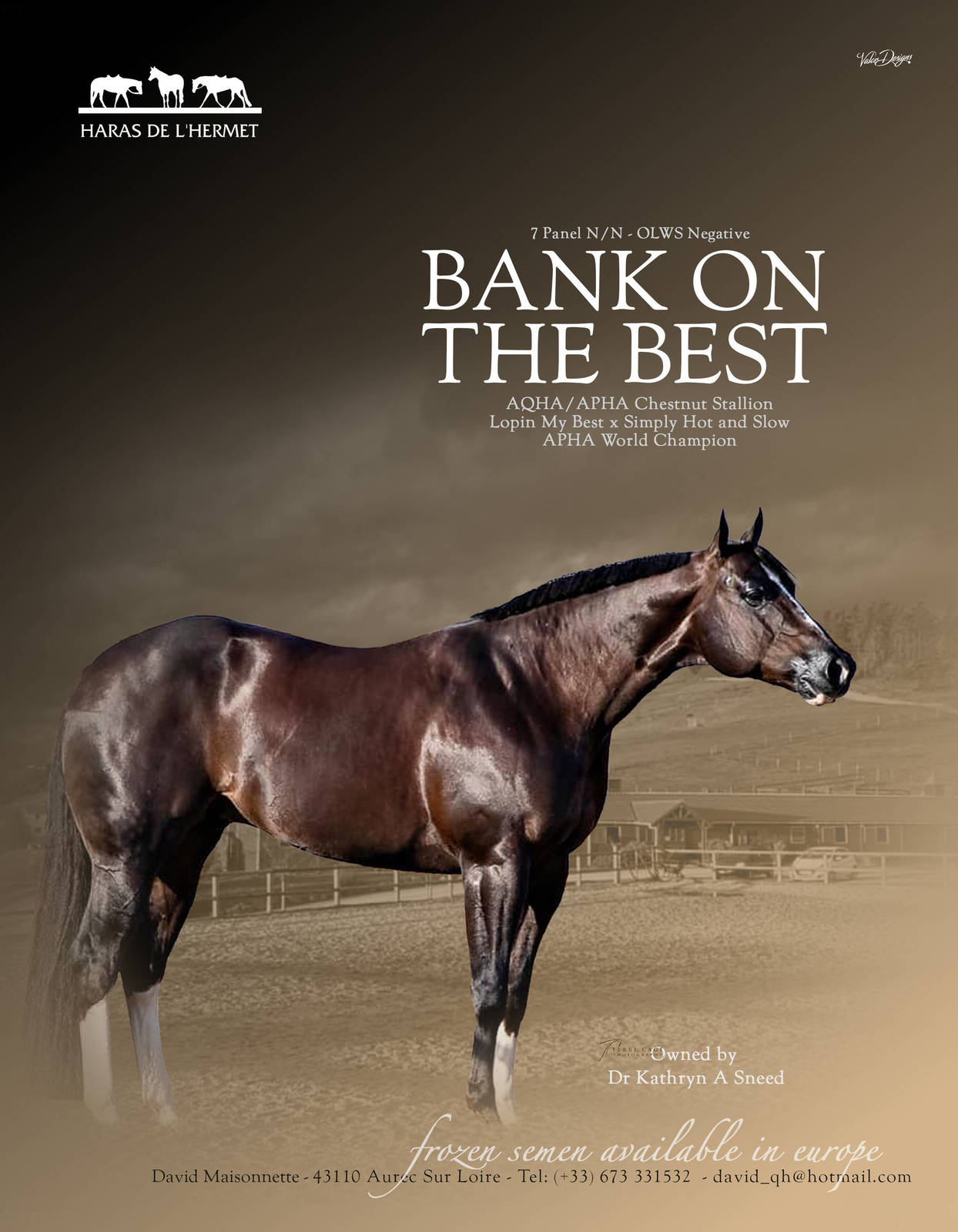 BANK ON THE BEST