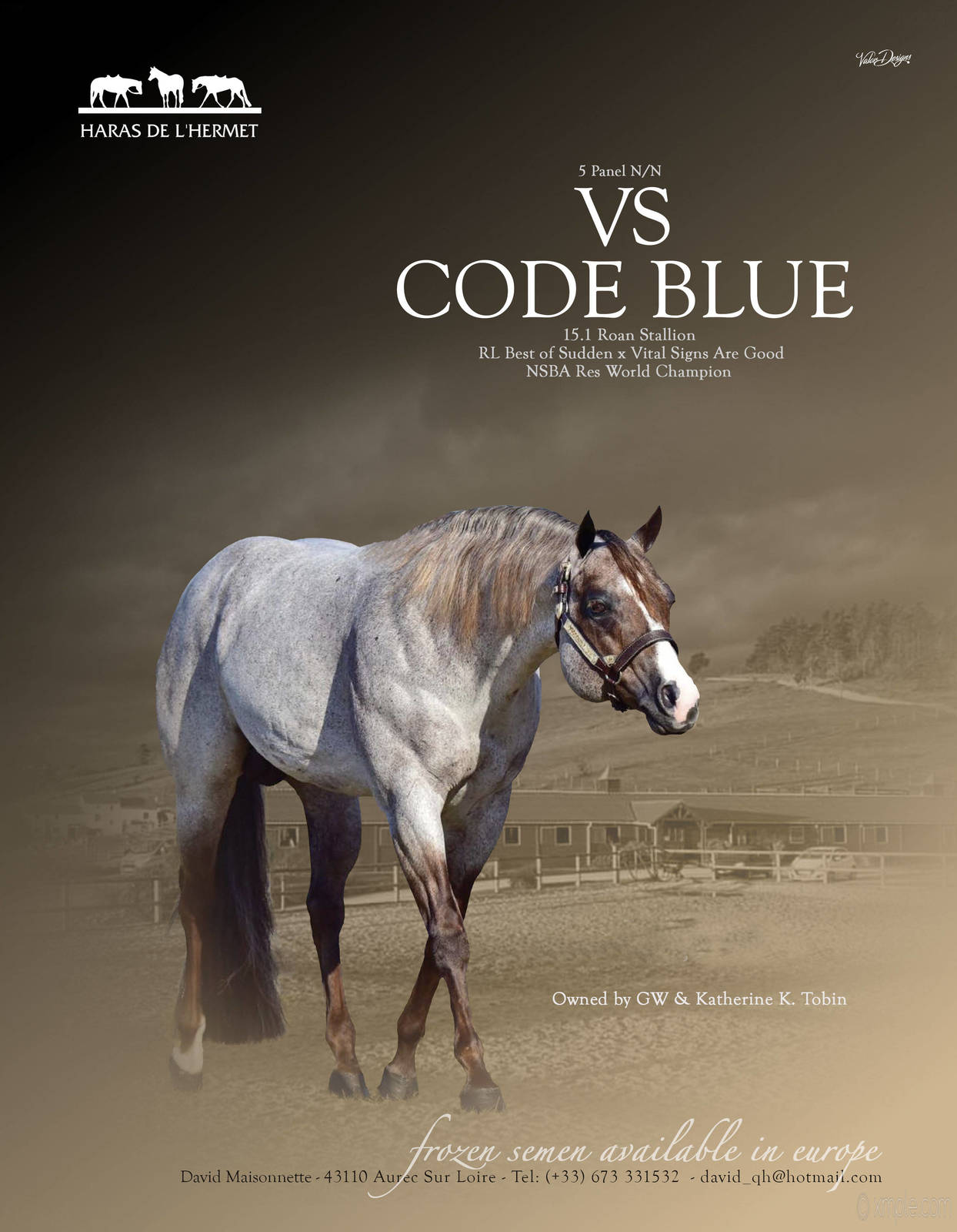 VS CODE BLUE