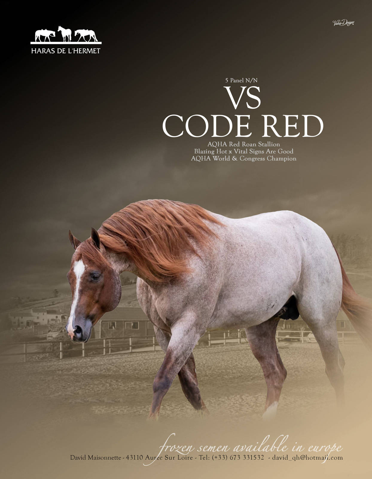 VS CODE RED