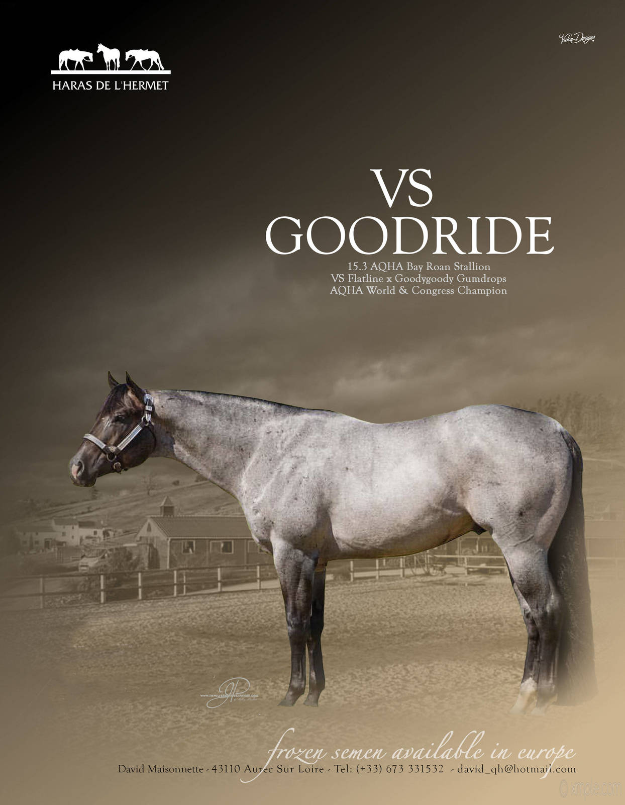 VS GOODRIDE