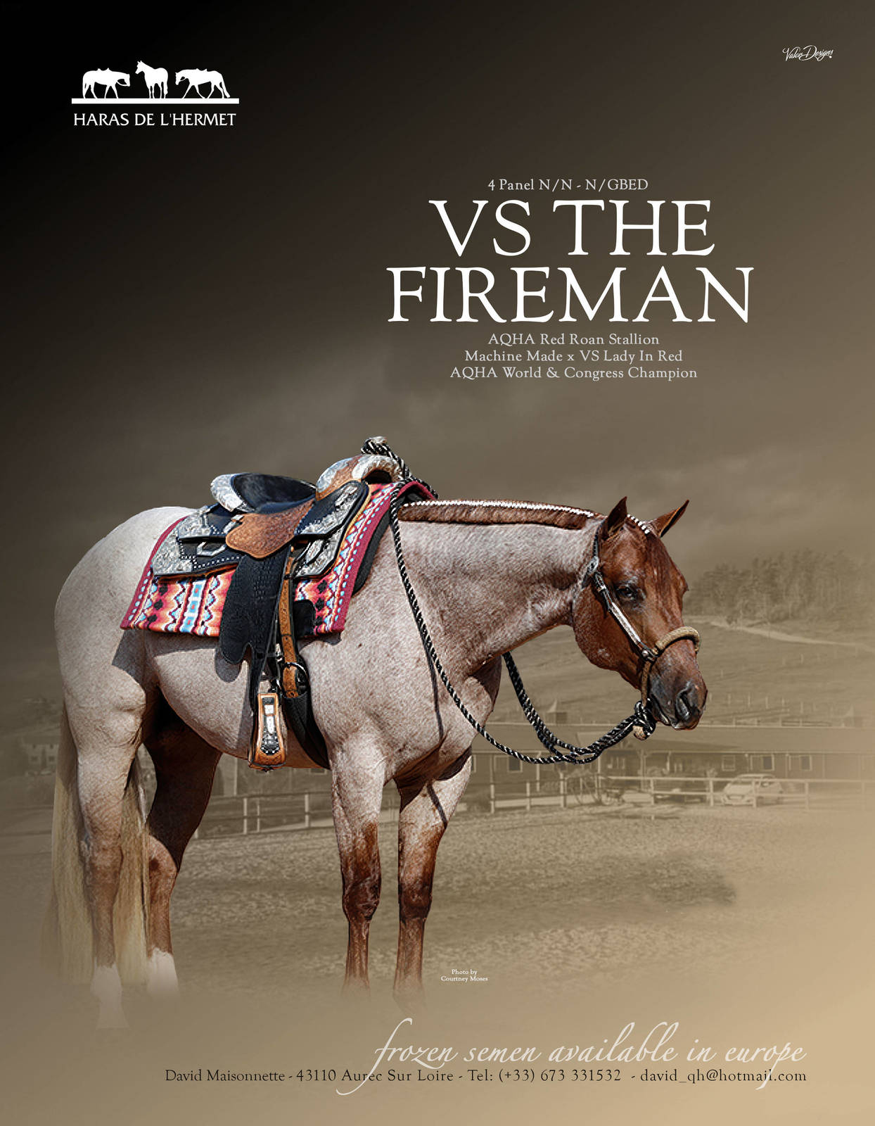VS THE FIREMAN