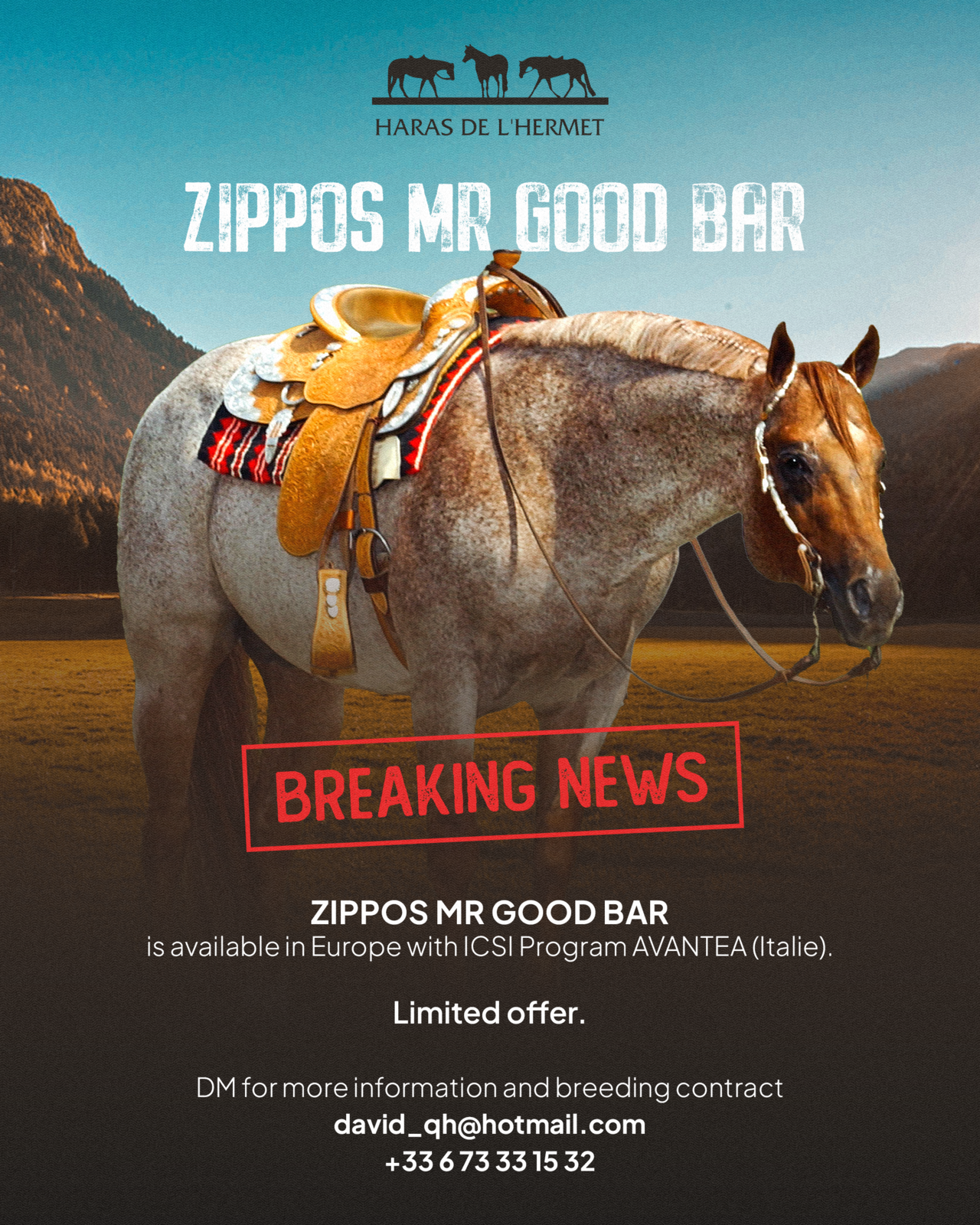 ZIPPOS MR GOOD BAR 