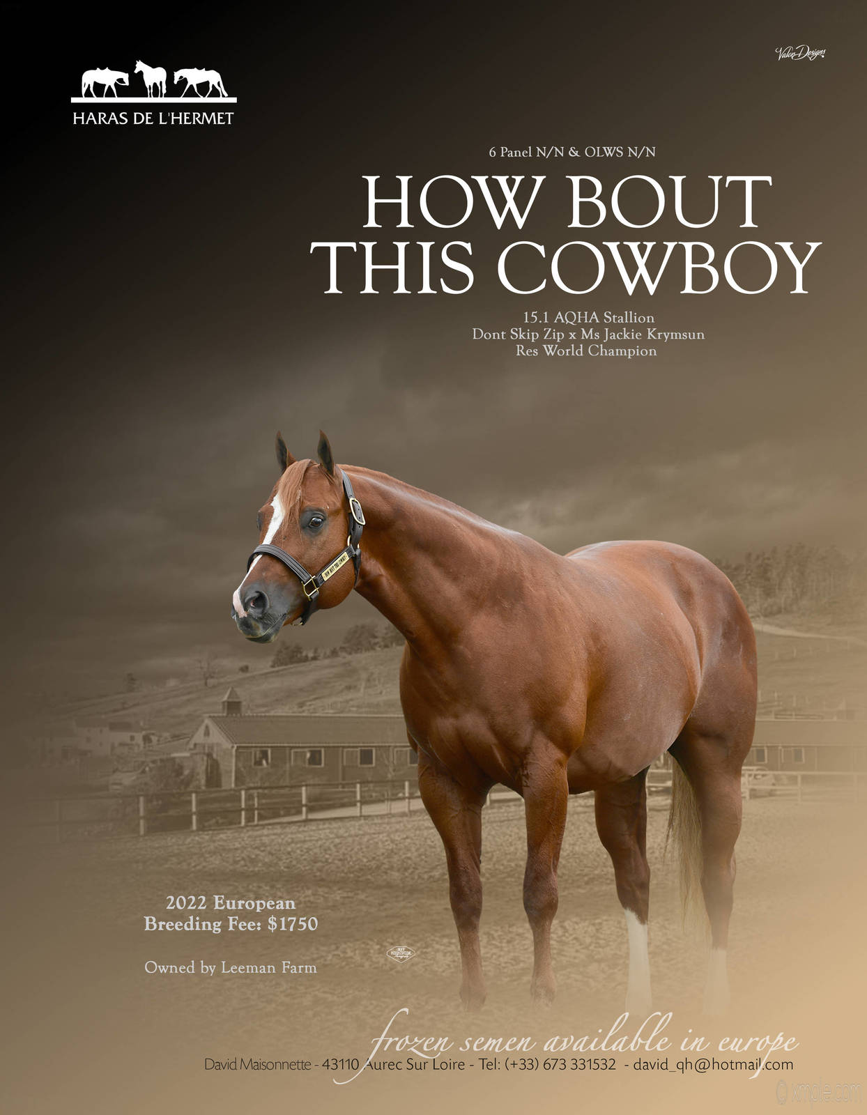 HOW BOUT THIS COWBOY