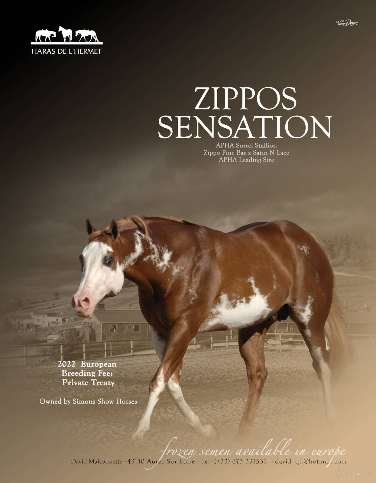 ZIPPOS SENSATION