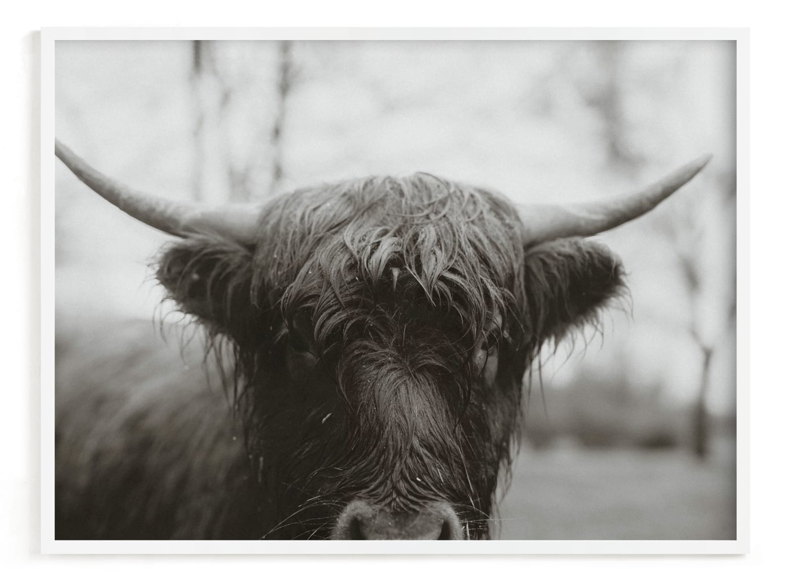 The Approach Limited Edition Fine Art Print 2 - Minted | Havenly