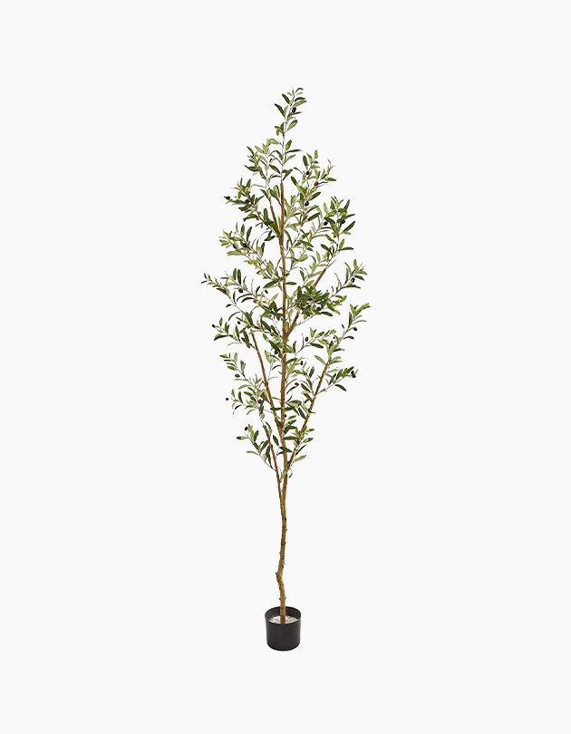 Olive Artificial Tree, 82" - Nearly Natural | Havenly