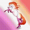 lesbian ponies