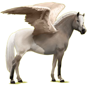 Pegasus pony Fjord Gulblakk