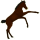 Riding Horse Paint Horse Black Overo