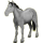 Riding Horse Arabian Horse Light Gray