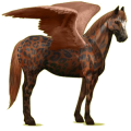 Riding pegasus Chestnut