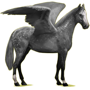 Riding pegasus Irish Hunter Roan