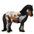 Pony Dapple Gray