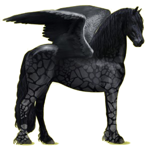 Riding pegasus Friesian Black