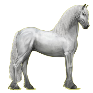 Riding pegasus Friesian Black