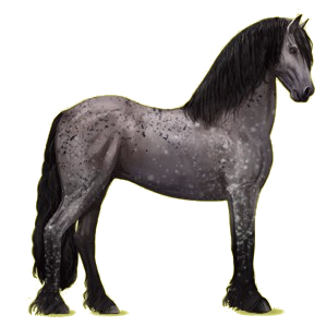 Riding pegasus Friesian Black