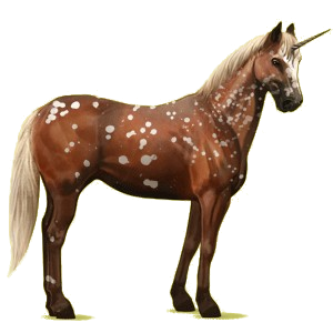 Riding unicorn Appaloosa Black Leopard 
