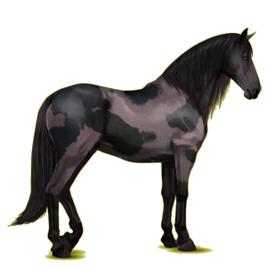 Riding Horse Lusitano Bay