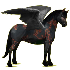 Pegasus pony Connemara Light Gray