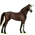 Riding unicorn Liver chestnut