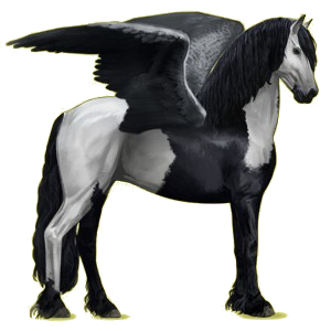 Riding pegasus Friesian Black