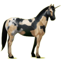 Riding unicorn Paint Horse Dark bay Overo