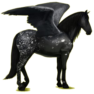 Riding pegasus Purebred Spanish Horse Cherry bay