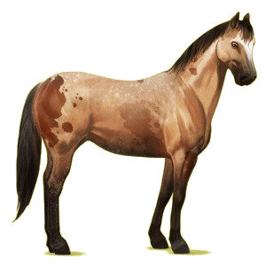 Riding pegasus Quarter Horse Dark Bay