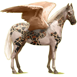 Riding pegasus Hanoverian Black