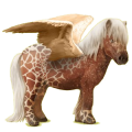 Pegasus pony Dun