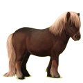 Pony Shetland Black