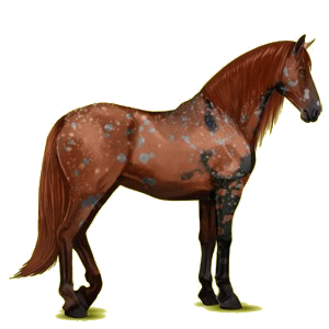 Riding pegasus Purebred Spanish Horse Light Gray