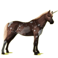 Unicorn pony Australian Pony Chestnut