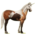 Riding unicorn Paint Horse Dark bay Overo