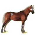 Pony Welsh Chestnut