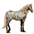 Riding Horse Purebred Spanish Horse Light Gray