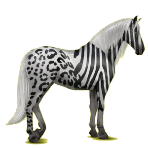 Riding Horse Purebred Spanish Horse Cherry bay