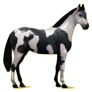 Riding Horse Hanoverian Chestnut