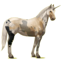 Riding unicorn Paint Horse Palomino Tobiano