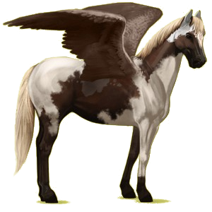 Riding pegasus Paint Horse Palomino Overo