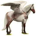 Riding pegasus Purebred Spanish Horse Light Gray