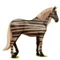 Riding pegasus Black