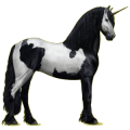 Riding unicorn Black
