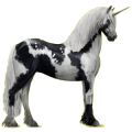 Riding unicorn Friesian Black