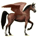 Riding pegasus Arabian Horse Chestnut