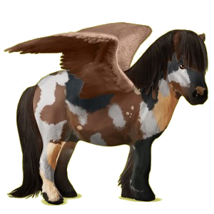 Pegasus pony Shetland Bay
