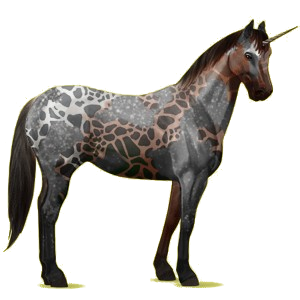 Riding unicorn Appaloosa Few Spots