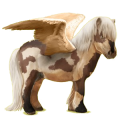 Pegasus pony Shetland Palomino